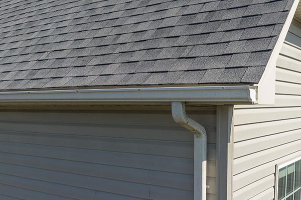 Siding Installation
